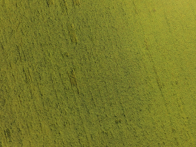 DJI_0002