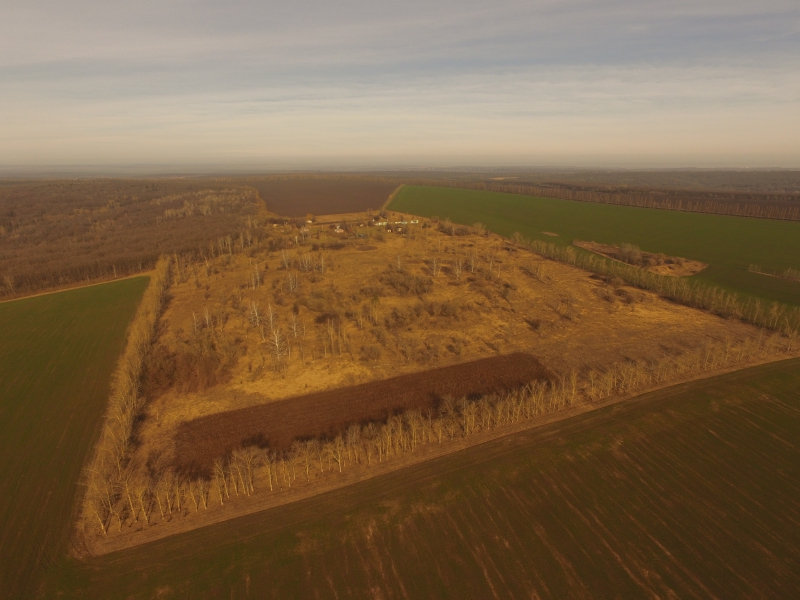 DJI_0782